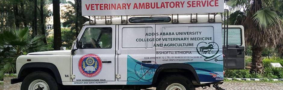 The First Animal Ambulance Service in Ethiopia Starts Functioning | Addis  Ababa University